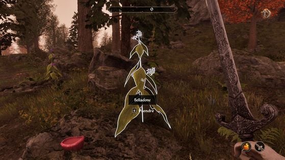 The Elder Scrolls IV : Oblivion Remastered