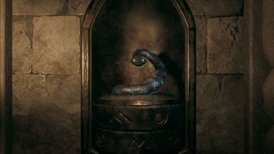 Dans l'ombre de l'étude Hogwarts Legacy : comment terminer la quête et apprendre le sort Endoloris ?