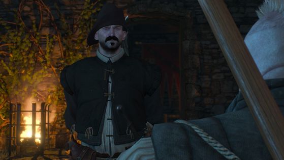 The Witcher 3 : Wild Hunt