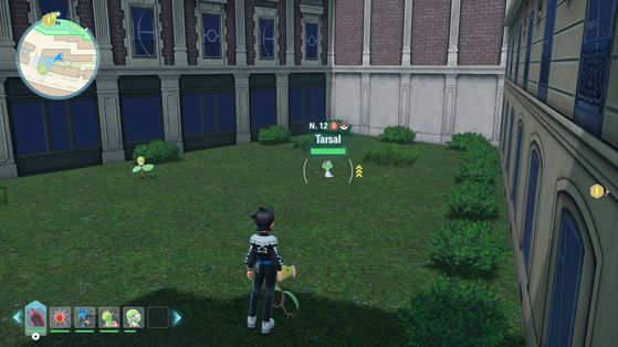 Légendes Pokémon Z-A