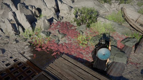 Où trouver de l'algue rouge dans Crimson Desert ?