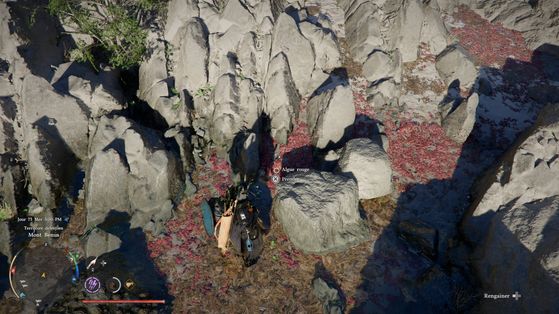 Crimson Desert