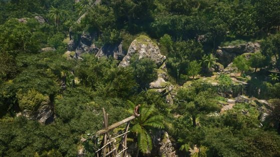 Assassin's Creed Black Flag Resynced