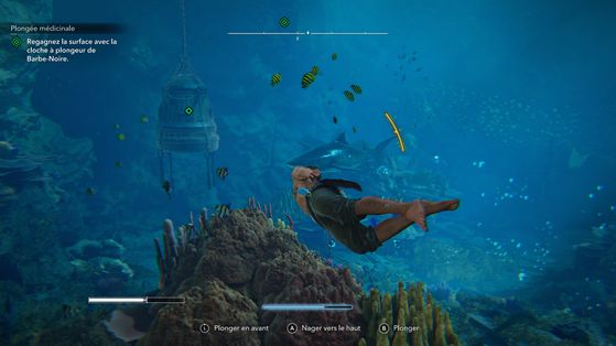 Assassin's Creed Black Flag Resynced