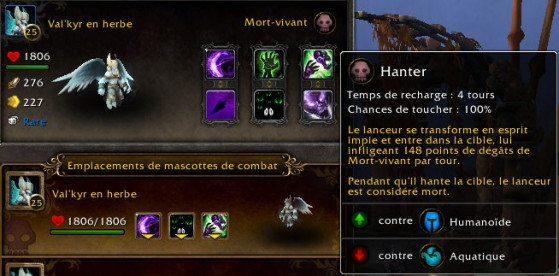 Hanter - World of Warcraft