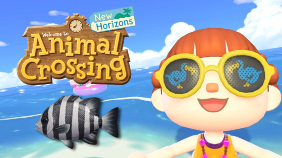 Ishidai Animal Crossing New Horizons : un changement de nom pour un poisson