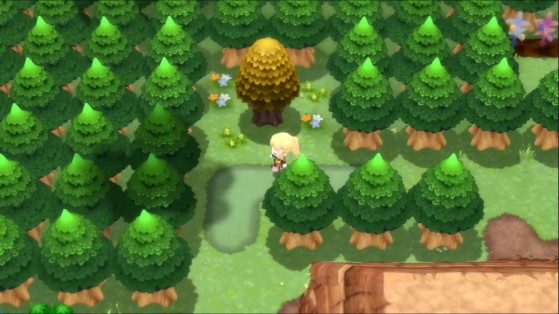 Forêt de Vestigion (à l'extérieur) - Pokémon Diamant Étincelant et Perle Scintillante