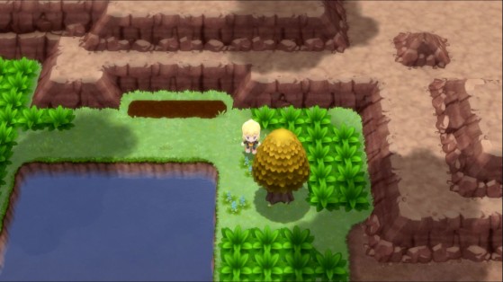 Route 205 (Nord, après la Forêt) - Pokémon Diamant Étincelant et Perle Scintillante