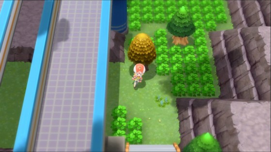 Route 206 (sous la piste cyclable, à droite) - Pokémon Diamant Étincelant et Perle Scintillante