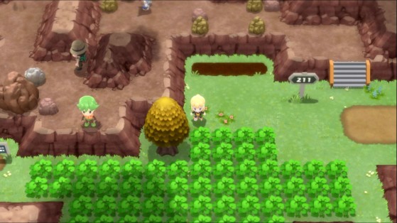 Route 211 (à gauche de Celestia) - Pokémon Diamant Étincelant et Perle Scintillante