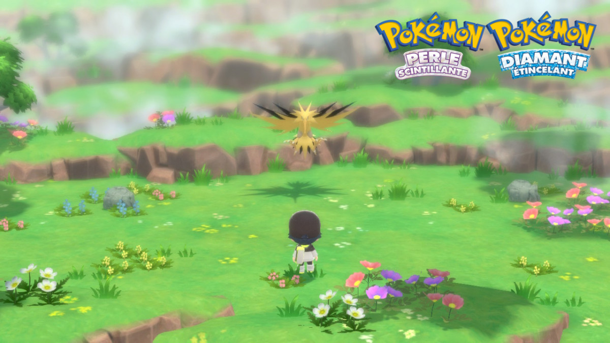 ザプドス ポケモンダイヤモンド＆パール：どこで見つけてどうやって捕獲するのですか？