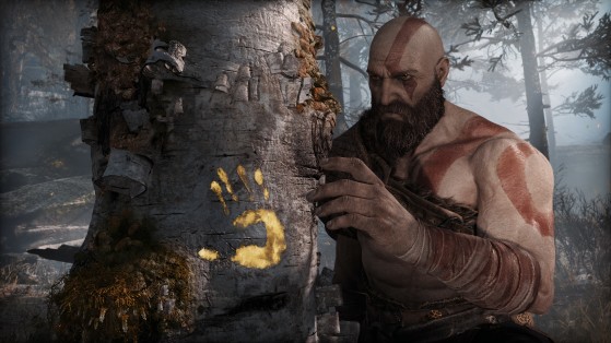 Kratos, alors qu'il inspecte la qualité des textures de l'arbre - God of War