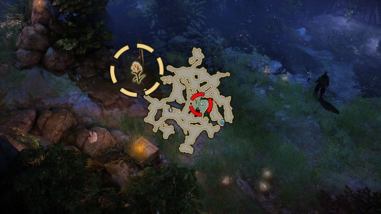 Lost Ark Ile De La Chance Fugace