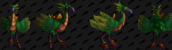 Faucon-pérégrin vert - World of Warcraft