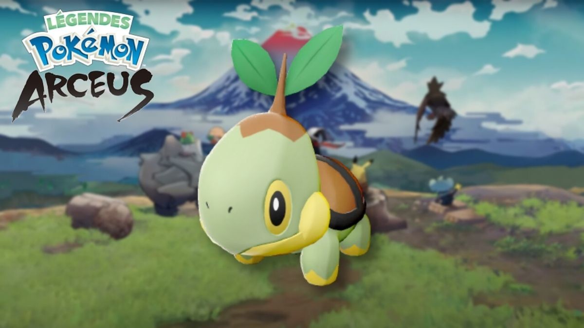 Tortipouss Pokémon Arceus : Où trouver le starter plante sur la carte ? -  Millenium