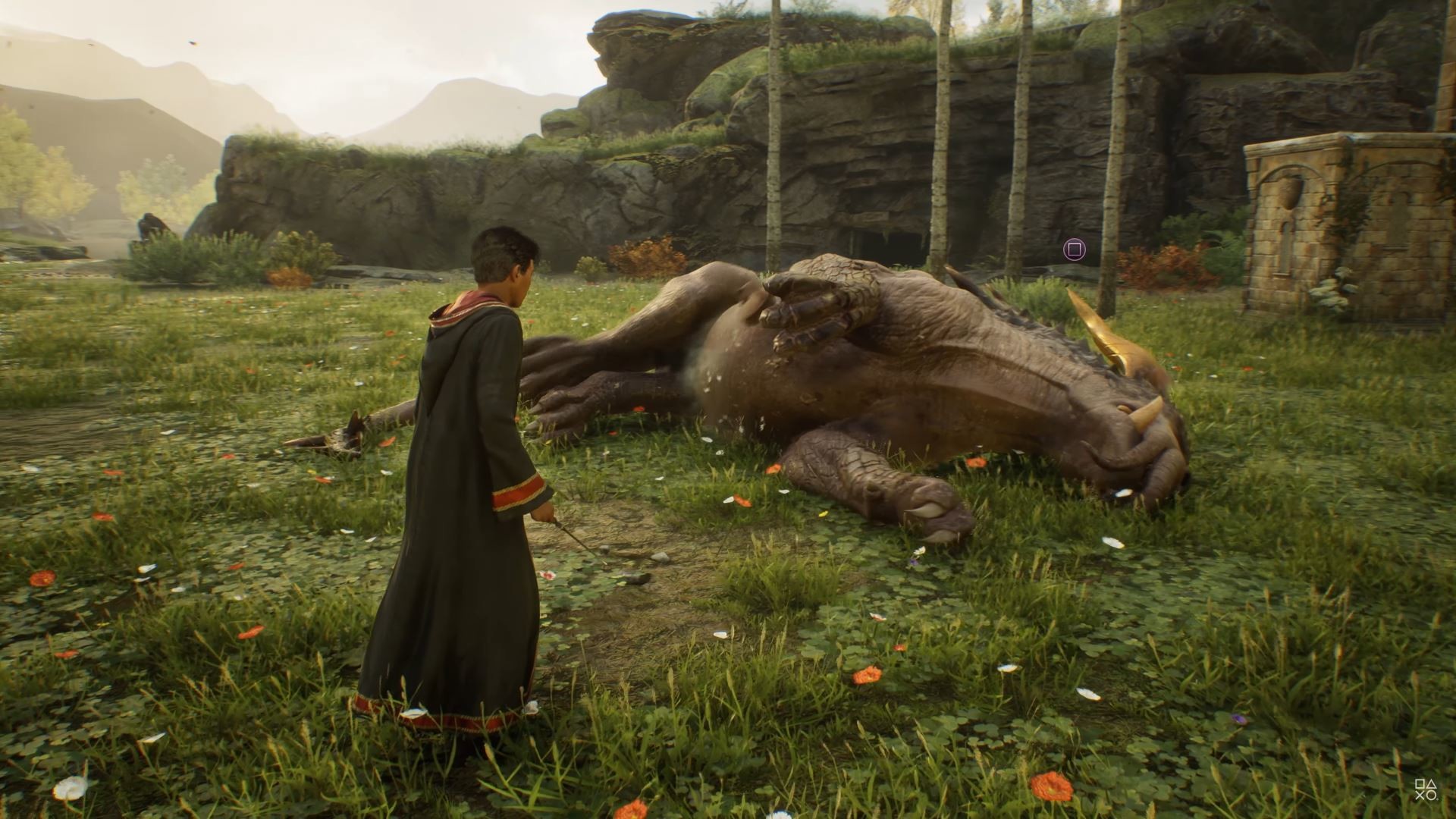 Harry Potter 9 Animaux Fantastiques présents dans le jeu Hogwarts Legacy ! Millenium
