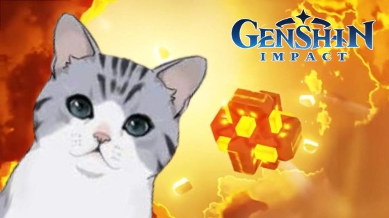 Genshin Impact : les p'tits chats du jeu ont un incroyable talent