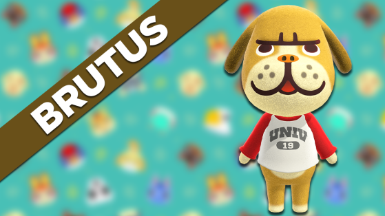 Brutus Animal Crossing New Horizons : tout savoir sur cet habitant