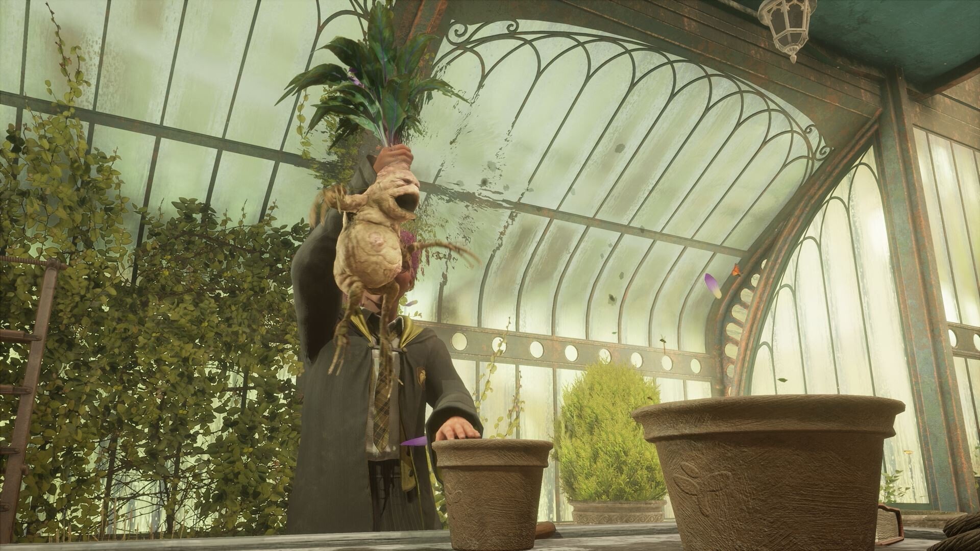 Amanite et Chiendent Hogwarts Legacy Où trouver la boutique pour le devoir de Bulbille