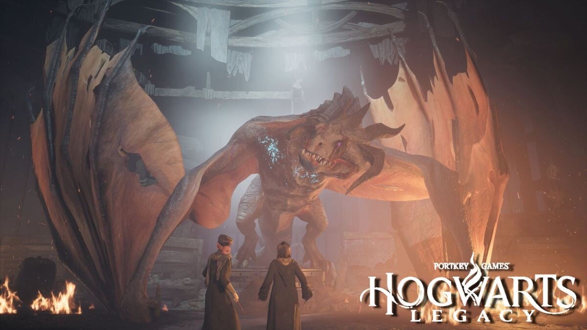 Hogwarts Legacy "Je n