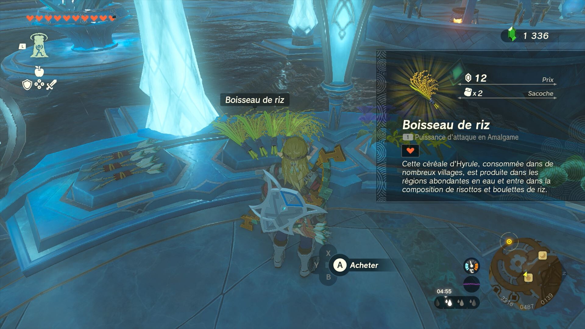 Boisseau de riz Zelda Tears of the Kingdom Où en trouver très facilement ? Millenium