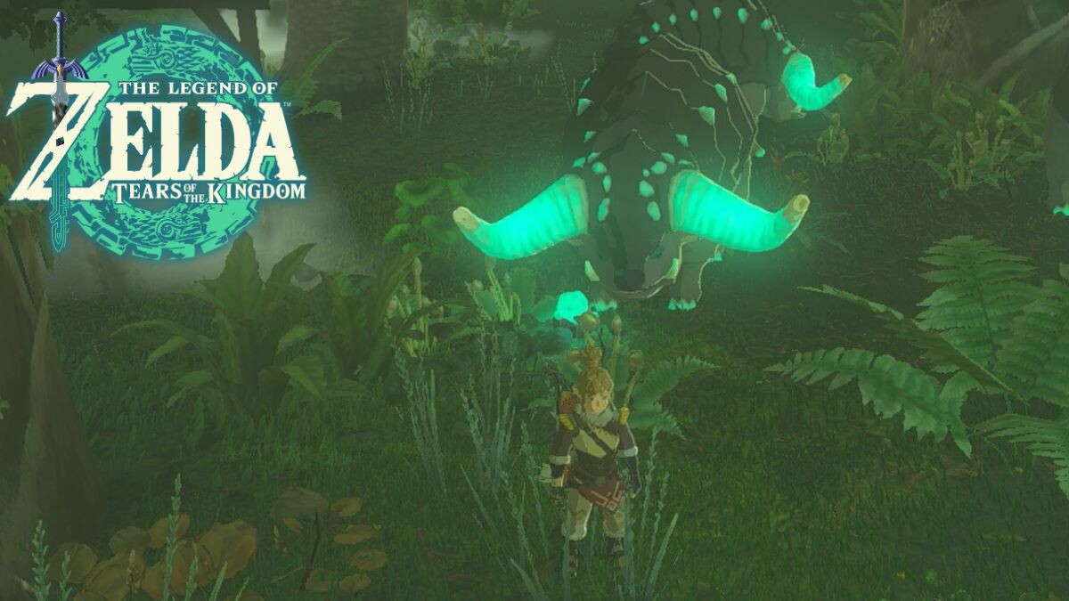 Gondon Zelda Tears of the Kingdom : Voici la raison de leur donner des  gemmes nox ! - Millenium