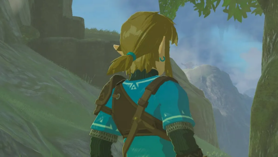 Elastique sur Link - The Legend of Zelda : Tears of the Kingdom