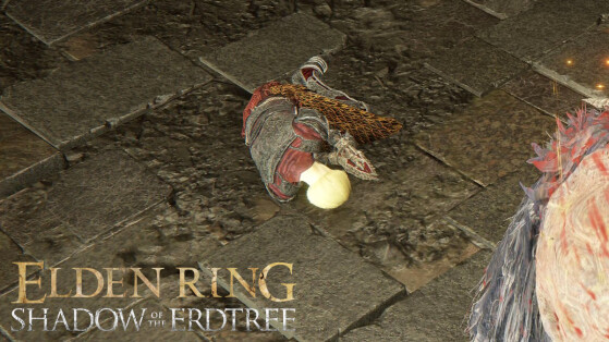 Queelign Elden Ring Shadow of the Erdtree : Faut-il donner l'iris de grâce ou d'occultation ?