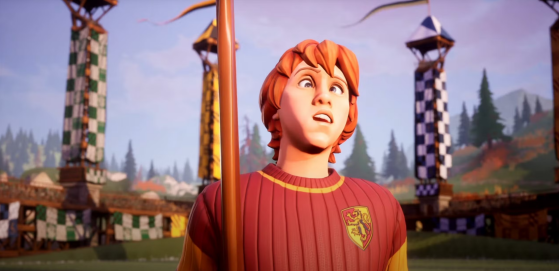 Harry Potter : Champions de Quidditch