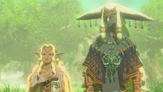 The Legend of Zelda : Echoes of Wisdom