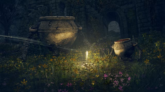 3 ans après la sortie d'Elden Ring, cette porte reste l'un des plus grands mystères du jeu pour de nombreux joueurs