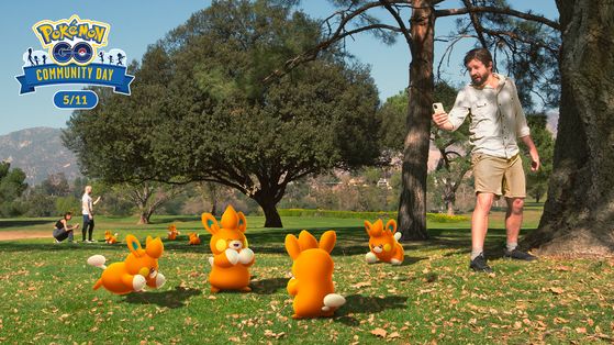 Pohm Pokémon GO : Shiny, Pohmarmotte, bonus... Tous les détails sur le Community Day du 11 mai 2025 !