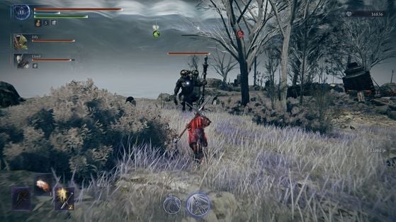 Elden Ring Nightreign