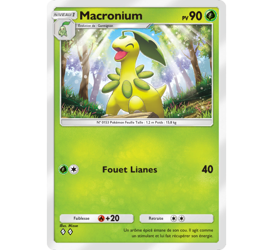 JCC Pokémon Pocket