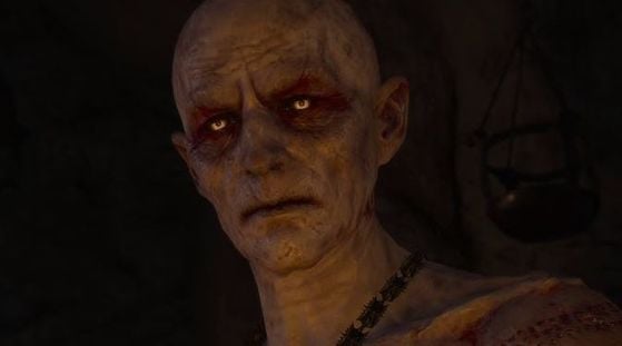 The Witcher 3 : Wild Hunt