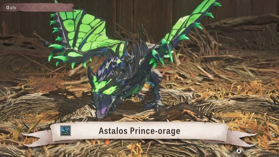 Monster Hunter Stories 3 : Twisted Reflection