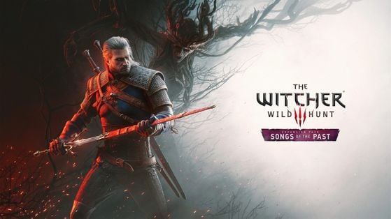 The Witcher 3 : Wild Hunt