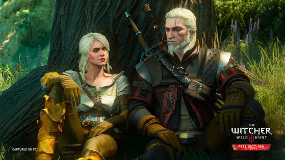The Witcher 3 : Wild Hunt