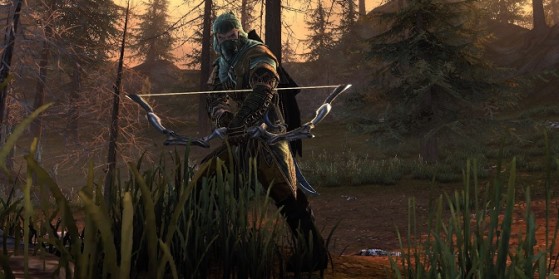 Neverwinter : un compagnon archer ?