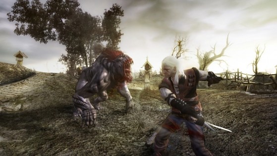 Geralt de Riv qui combat la princesse ayant subi une malédiction. - The Witcher 3 : Wild Hunt