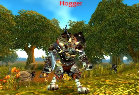 Modèle de Lardeur dans World of Warcraft - Heroes of the Storm