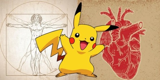 L'anatomie des Pokémon