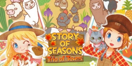 Test Story of Seasons : Trio of Towns