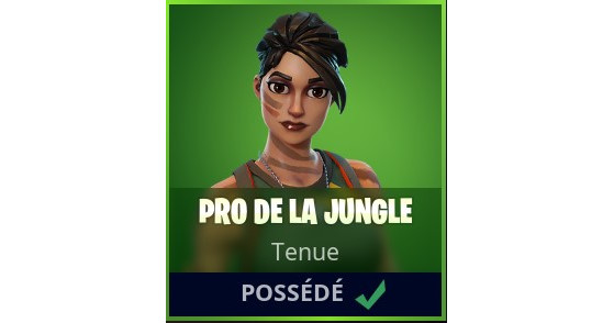 Fortnite : Battle royale