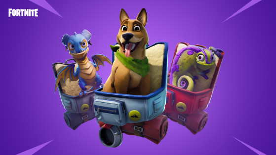 Fortnite : compagnons, pets, familiers