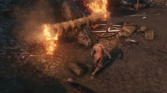 Sekiro : Shadows Die Twice