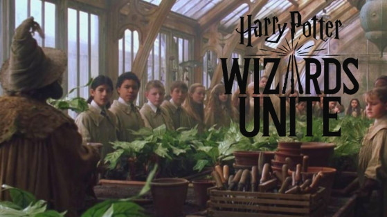 Harry Potter Wizards Unite : Serres, obtenir des ingrédients