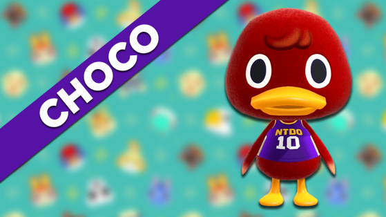 Choco sur Animal Crossing New Horizons : tout savoir sur cet habitant