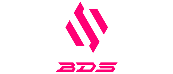 Team BDS - Rocket League
