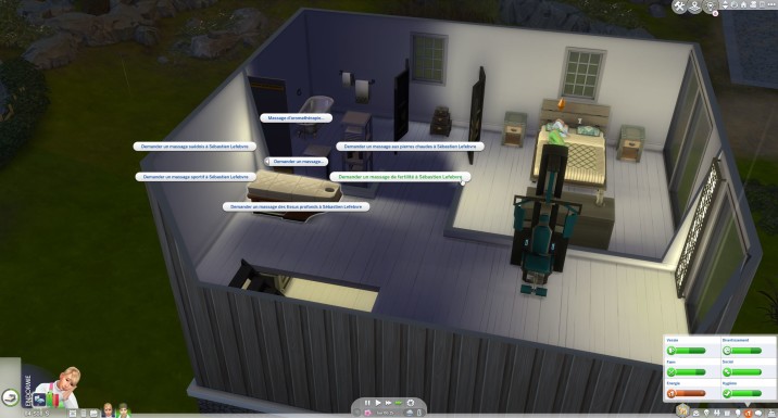 Fertilité Sims 4 : comment avoir des jumeaux et des triplés ? - Millenium